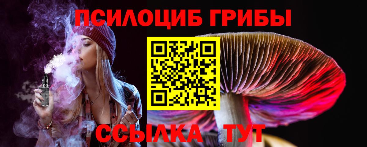 Юрга  Псилоцибиновые грибы Magic Shrooms  Вход с VPN 