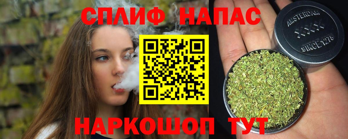 Каннабис планчик Юрга